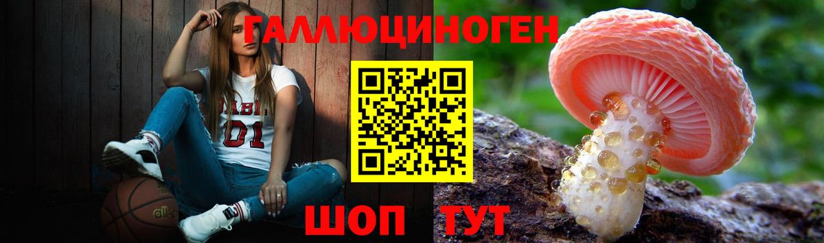 Псилоцибиновые грибы GOLDEN TEACHER Братск